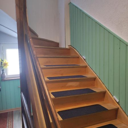 Kleine Gemuetliche Wohnung 茨维考 外观 照片