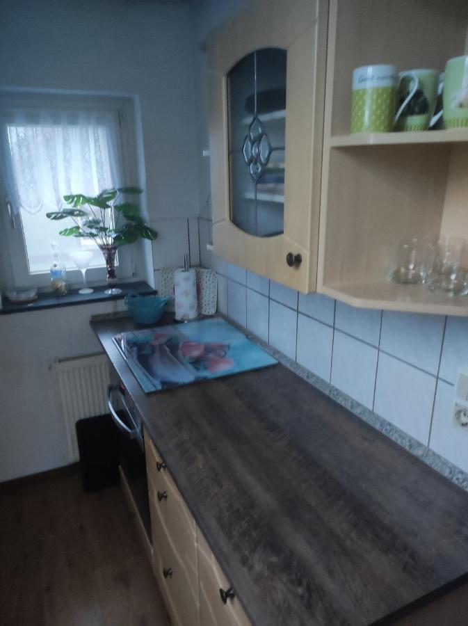 Kleine Gemuetliche Wohnung 茨维考 外观 照片
